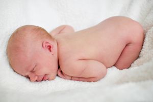 08lilly_1week_march2009_007.jpg