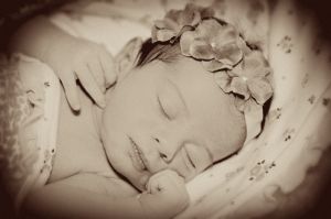 65livia_2011_019.jpg